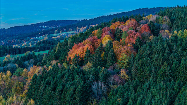 Bunte Herbstlandschaft mit Wald und Bergen in der Ferne unter blauem Himmel