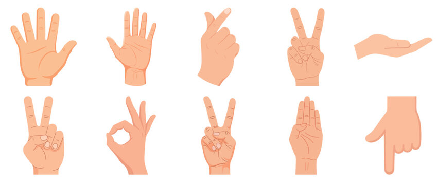 Collection of hand gestures and signs on white background