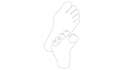 Illustration of female bare feet sole
