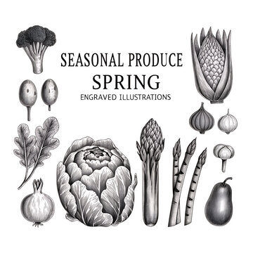 Colorful seasonal produce illustrations capturing the essence of spring with fresh fruits and vegetables arranged artistically