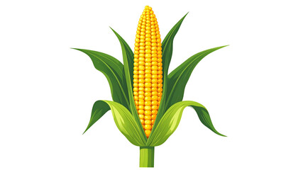 A ripe ear of corn with vibrant yellow kernels and green leaves, against a black backdrop