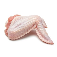 Raw chicken wing isolated on white background