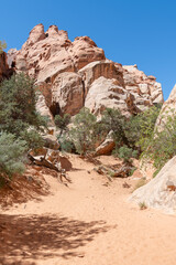 Rock formation and vegetation in Cohab Canyon in Capitol Reef National Park, Utah, USA
