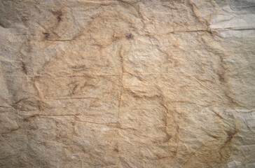 Old paper background. Yellowed antique paper.