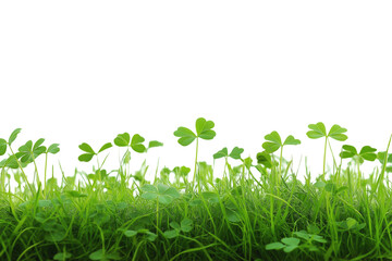 Nature scene with clover plants lush green grass close-up photography natural environment freshness concept