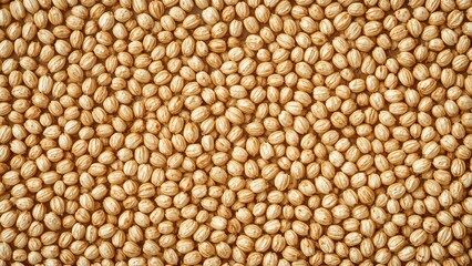 Fototapeta premium Close-up of numerous coriander seeds, showing their round shape and textured surface.