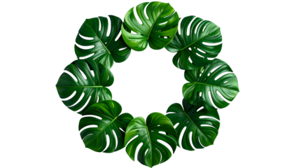 Circular arrangement of lush, tropical green leaves on a black background, forming a ring