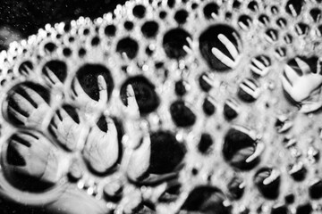 Abstract image of hands distorted and reaching through bubbles, representing mental health problems, isolation.