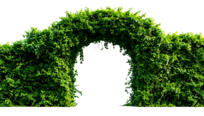Lush, green arched passage of thick foliage, dark void beyond, framed by living walls