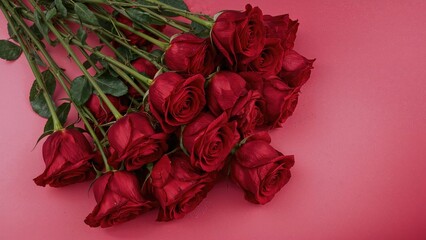 Bouquet of red roses on pink background