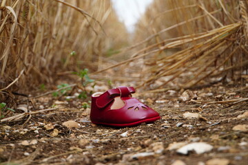 Red shoe left behind