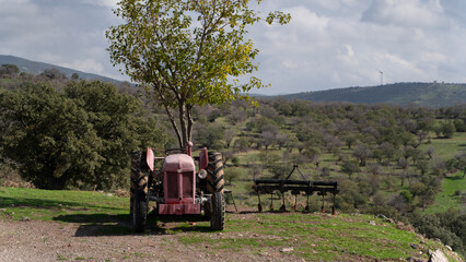 Autumn Countryside: Tractor Portrait on a Sunny Day
