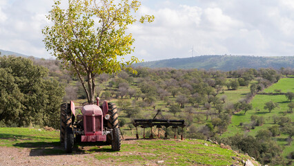 Autumn Countryside: Tractor Portrait on a Sunny Day