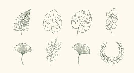 Minimalist Botanical Line Art Set: Hand-Drawn Leaves Monstera, Fern, Eucalyptus, Olive, Ginkgo & Laurel Wreath Vector Clipart