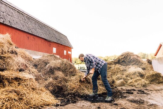 Full length of farmer making pile of hay using pitchfork
