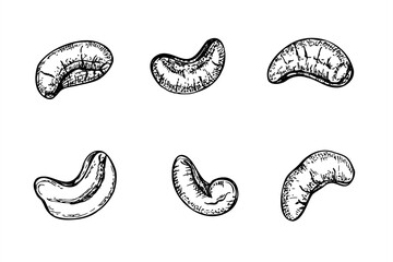 Cashew nuts set monochrome vector isolated line art black ink sketch. Healthy peeled kernel illustration. Exotic healthy superfood for packaging, for fitness website designs, culinary posters