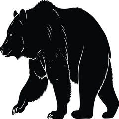 silhouette of bear