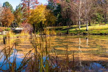 Beautiful Park located in Reno during Autumn in Northern Nevada with reflections in still water of a pond