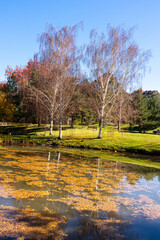 Beautiful Park located in Reno during Autumn in Northern Nevada with reflections in still water of a pond
