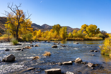 Aerial View of Autumn colored trees along the Truckee River East of Reno Nevada