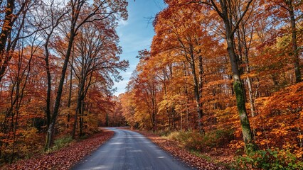 Obraz premium Autumn forest scene with a winding road through colorful trees displaying fall foliage.