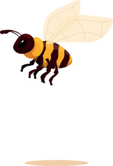Cartoon illustration of a honey bee flying and showing its stinger, wings, legs, and antennae