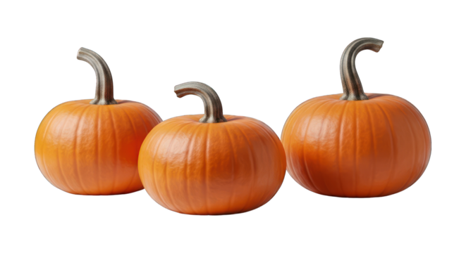 Three orange pumpkins with curved stems, evenly spaced against a black background