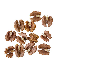 artistic presentation featuring sparsely arranged walnut segments with crisp light and clear texture
