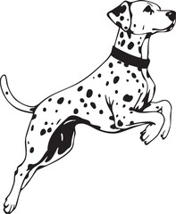 Leaping Dalmatian dog black and white vector illustration for pet care agility lifestyle and children’s design