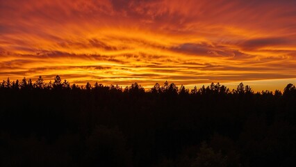 Fototapeta premium Sunset over a forest with vibrant orange and yellow clouds in the sky. The silhouette of trees against the colorful sky during dusk.