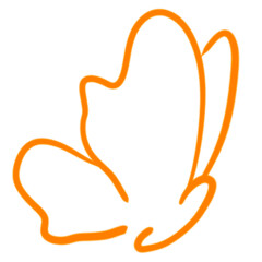 Butterfly line drawing