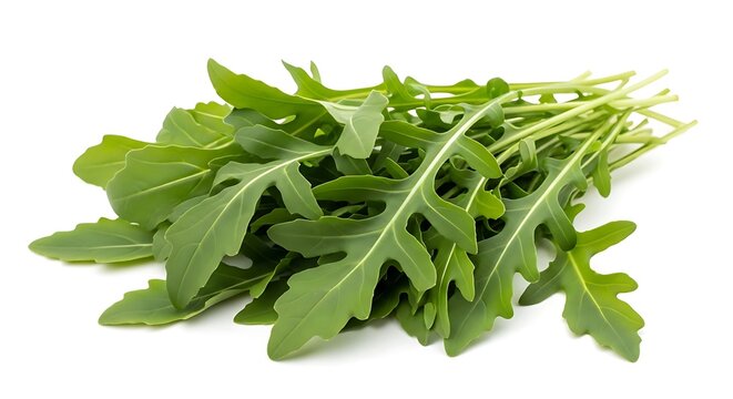 Fresh Bunch of Green Arugula Leaves - Powered by Adobe