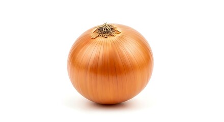 Single Brown Onion Isolated on White Background