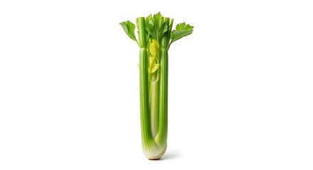 Fresh Green Celery Stalk Isolated on White Background