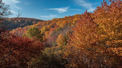 Autumn landscape with colorful trees on a hillside during daytime