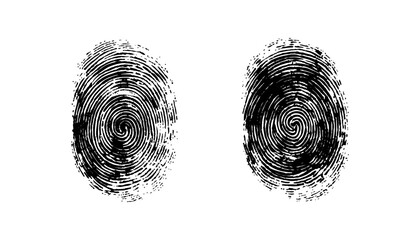 Two black fingerprint on a white background. High-quality black fingerprints isolated on a white background, biometric ID scan, forensic analysis, transparent cutout for digital use. 