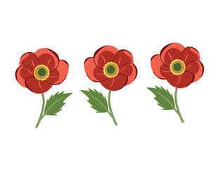 Red poppy flowers floral 
