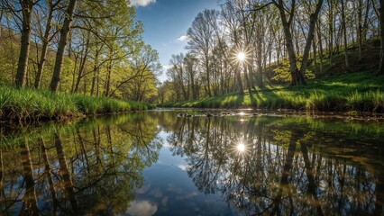 Obraz premium A serene river landscape with trees and sunlight reflecting on the water, capturing nature's beauty and tranquility.