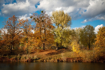 Autumn town colors with sun
