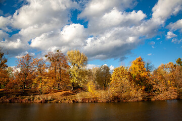 Autumn town colors with sun
