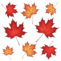 Fototapeta premium Watercolor Autumn Maple Leaves Set