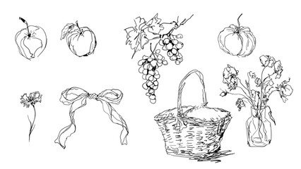 Fruits and Flowers Line Art — Minimalist Still Life Illustration