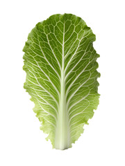 lettuce isolated on transparent white background clipping path