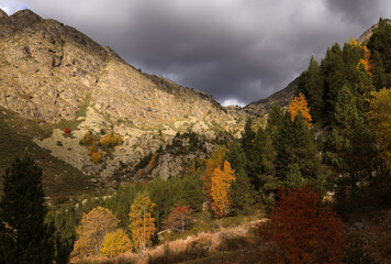 autumn landscape in the mountains