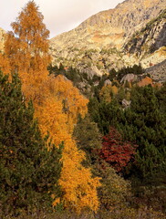 autumn colors in the mountains