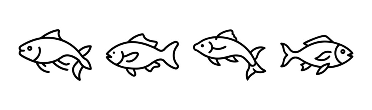 Elegant carp vector illustration for aquatic themes and design