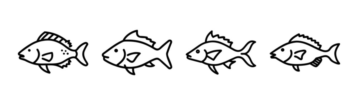 Vector illustration of a hogfish marine animal scalable graphic