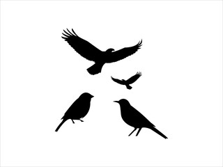Black Bird Silhouette vector Illustrations on White Background  