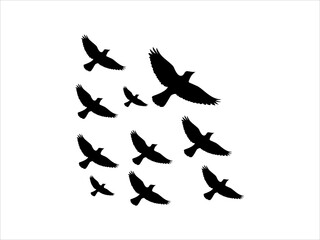 Black Bird Silhouette vector Illustrations on White Background  