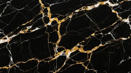 Papier peint photo Aquarelle ensemble 1 patrons Elegant black marble texture with gold veins for luxury design projects  © BloomPix